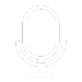 voice